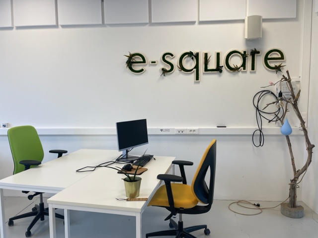 Deux bureaux face au lettrage végétal e-Square, écran et clavier en place.