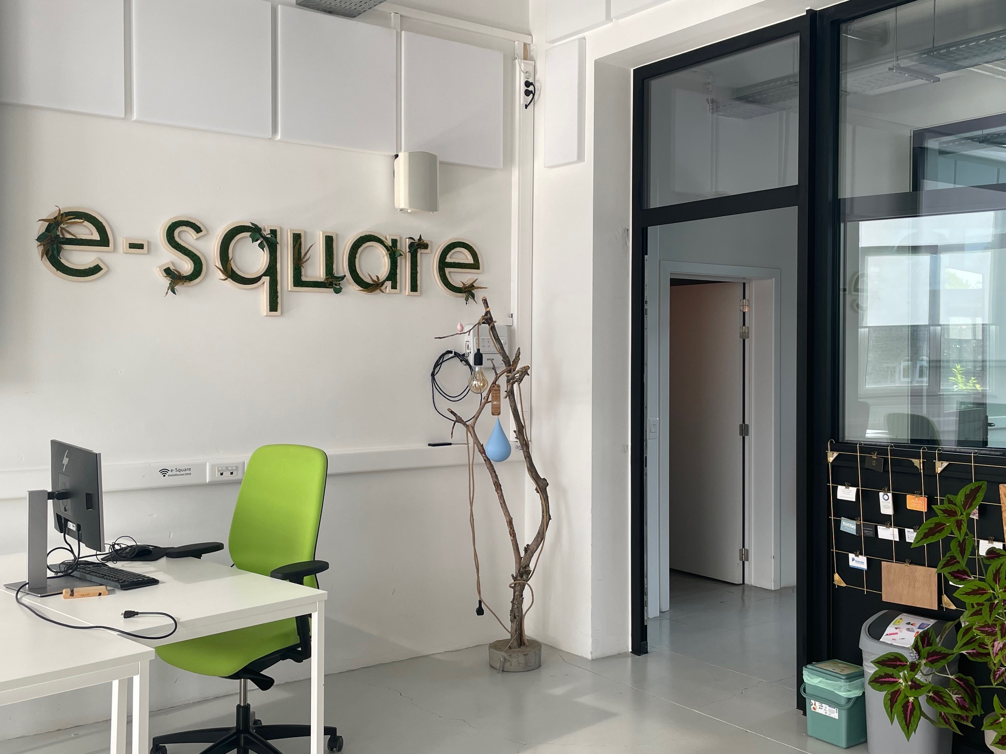 Le lettrage végétal e-Square au-dessus d'un poste de travail, à côté de la porte vitrée qui mène au couloir.